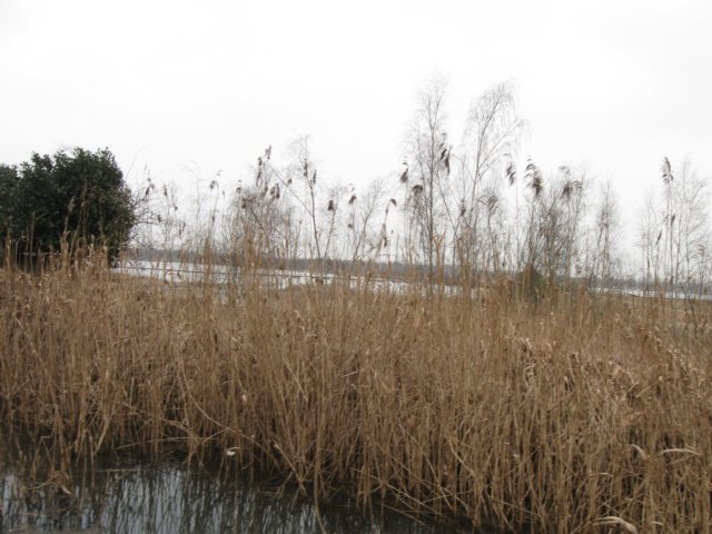 img_8871.jpg