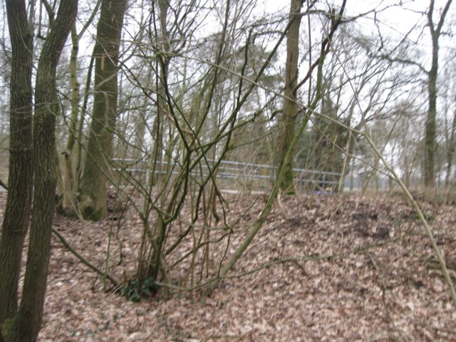 img_8877.jpg
