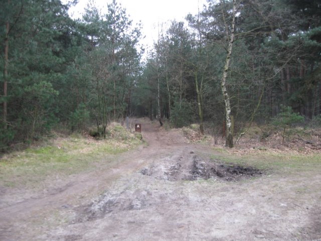 img_8895.jpg