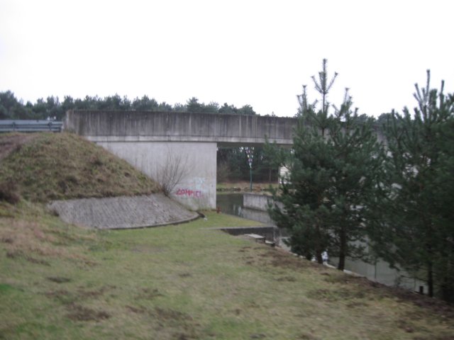 img_8908.jpg