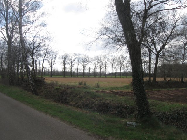 img_0255.jpg