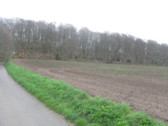 img_0263.jpg