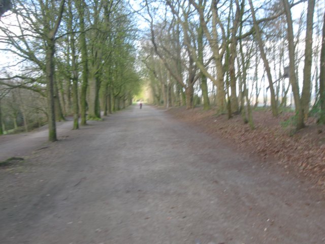 img_0275.jpg