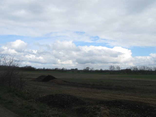 img_0294.jpg