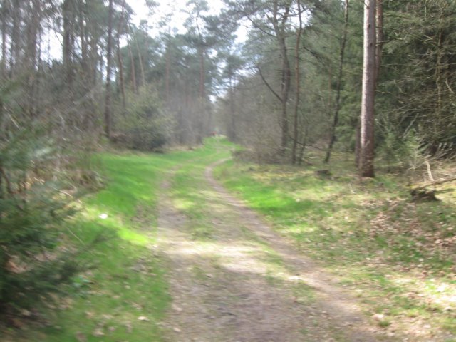 img_0302.jpg