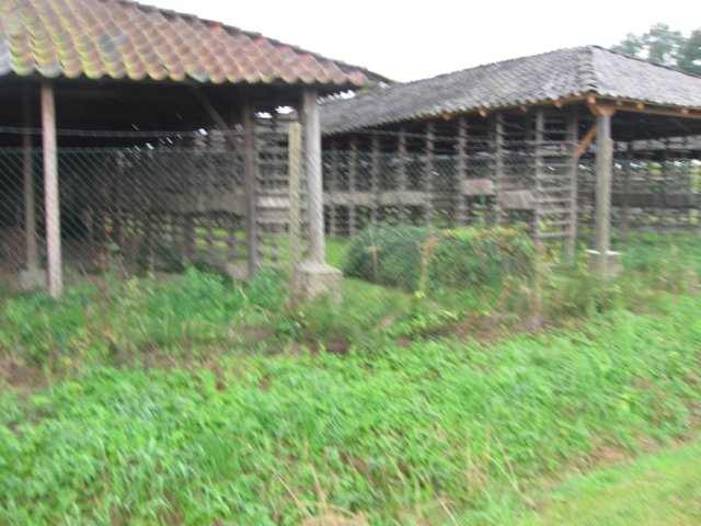 img_5833.jpg