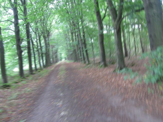 img_5855.jpg