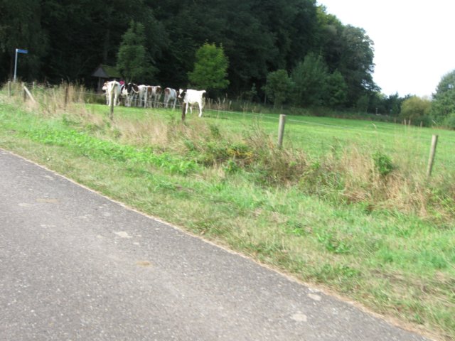 img_5885.jpg