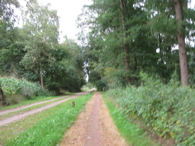 img_5909.jpg