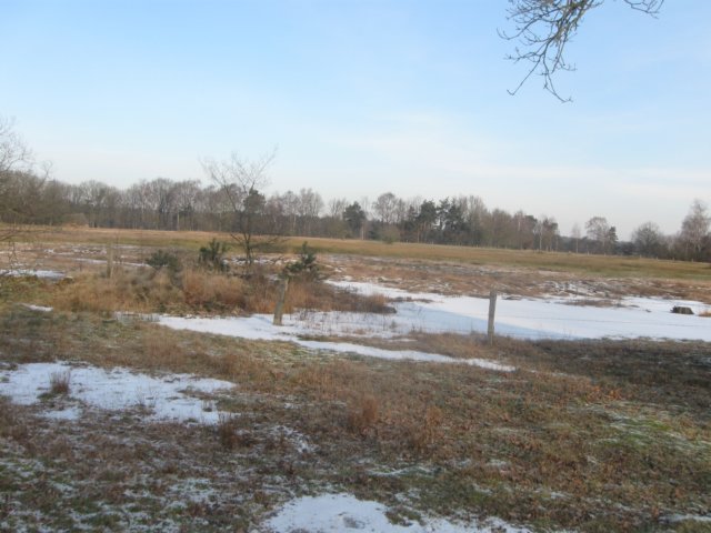 img_7749.jpg