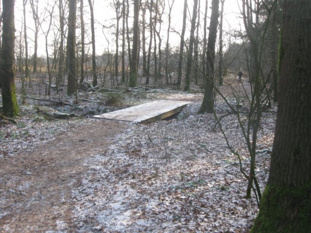 img_7763.jpg