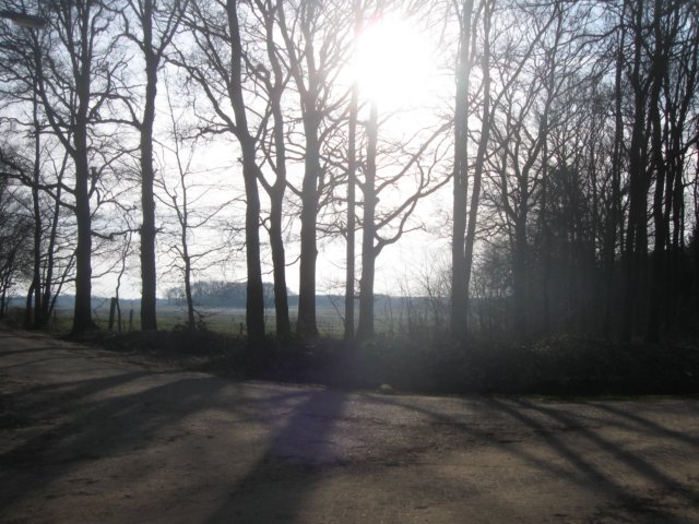 img_7771.jpg