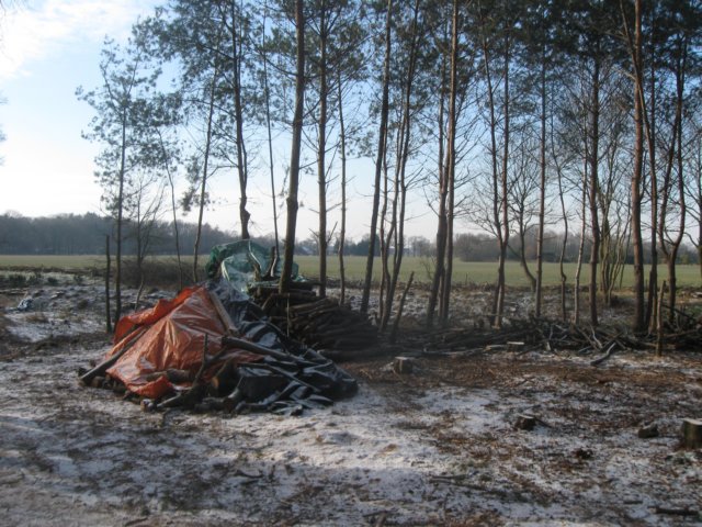 img_7802.jpg