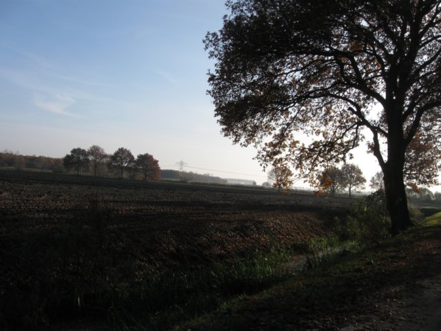 img_7367.jpg