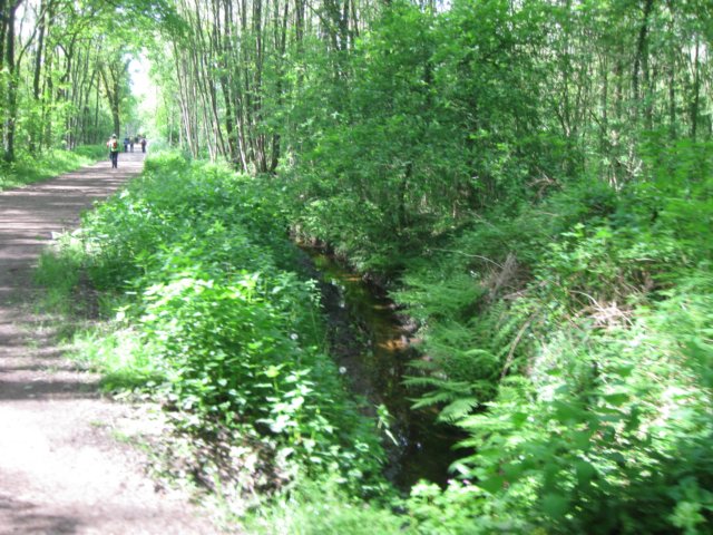 img_1212.jpg