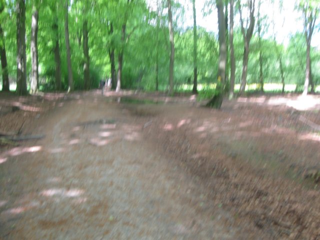img_1287.jpg