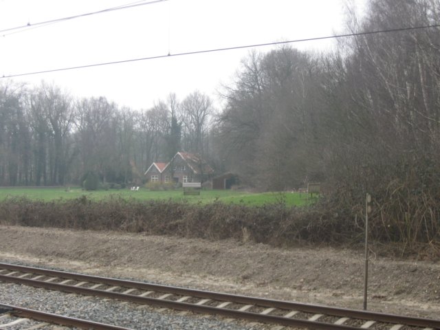 img_7599.jpg