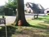 img_5535_small.jpg