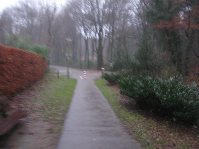 img_7649.jpg