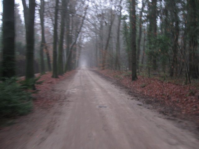 img_7652.jpg