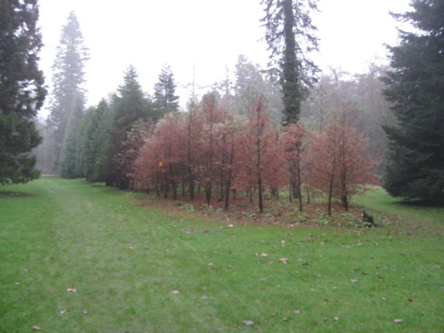 img_7656.jpg