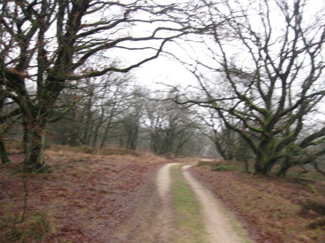 img_7671.jpg