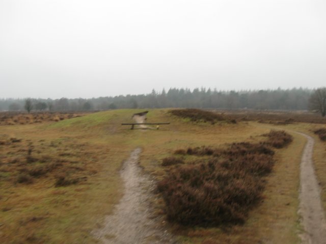 img_7676.jpg
