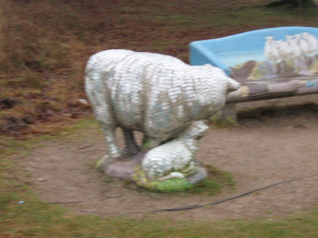 img_7677.jpg
