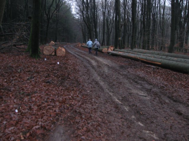 img_7687.jpg