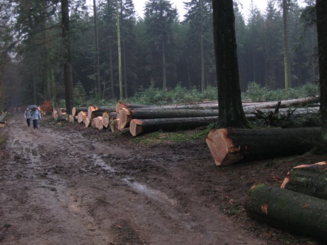 img_7689.jpg