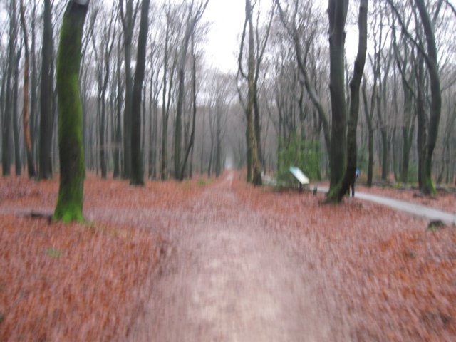 img_7690.jpg