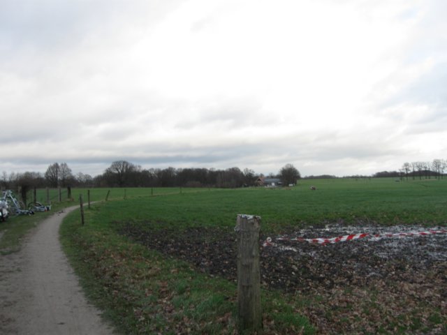img_7998.jpg