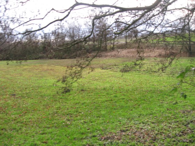 img_8000.jpg