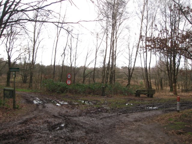 img_8005.jpg
