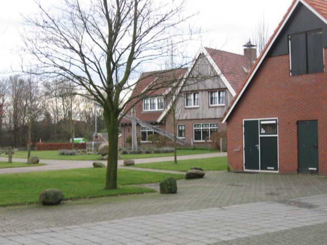 img_8019.jpg