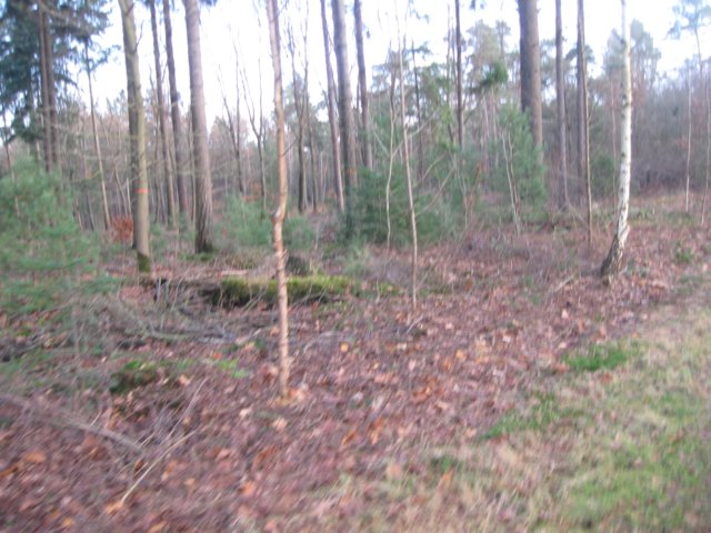 img_7783.jpg