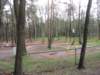 img_7812_small.jpg