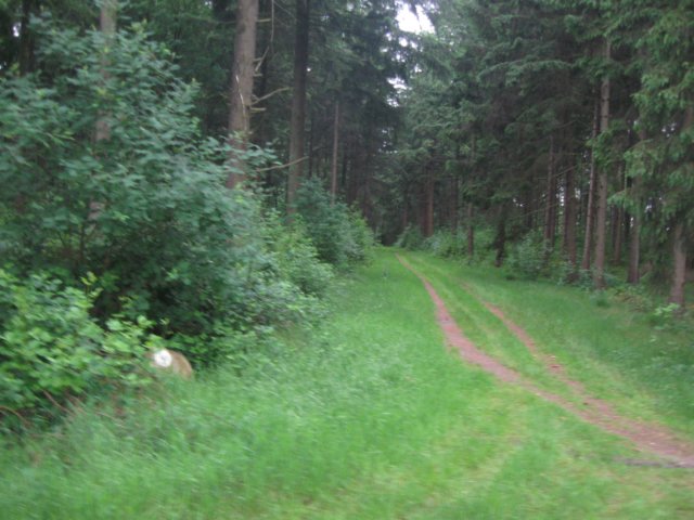 img_2466.jpg