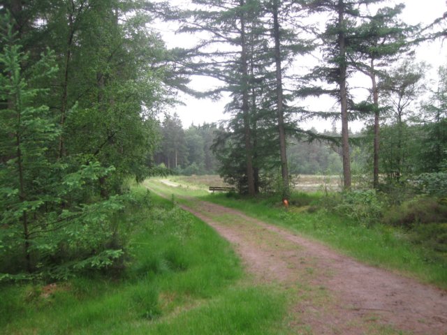 img_2470.jpg
