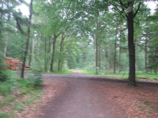 img_2472.jpg