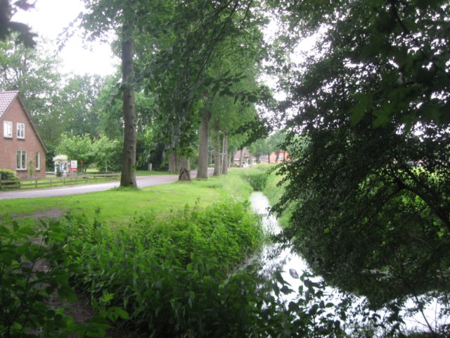 img_2501.jpg