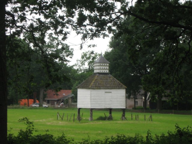 img_2502.jpg