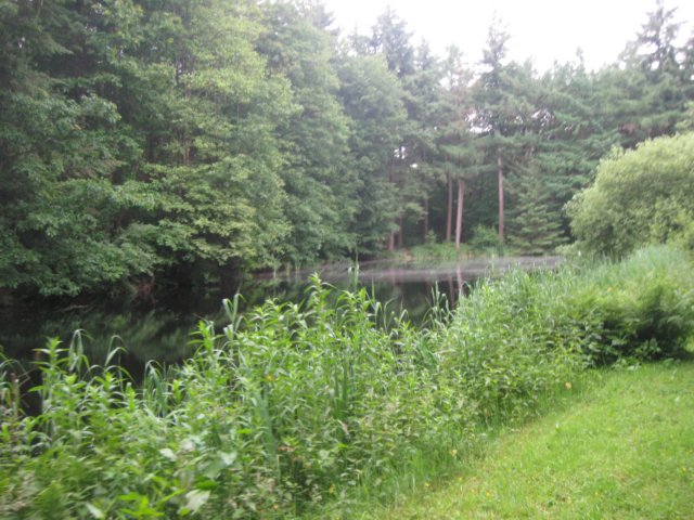 img_2514.jpg