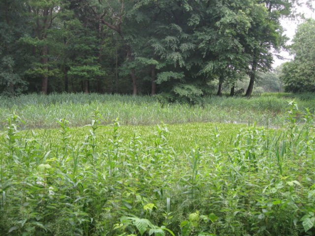 img_2516.jpg