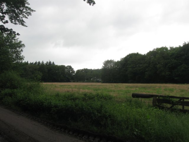 img_2519.jpg