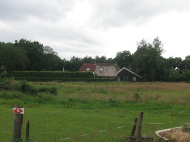 img_2600.jpg
