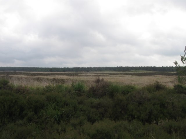 img_2788.jpg