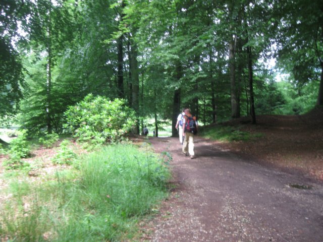 img_2810.jpg