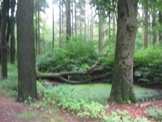 img_2864.jpg