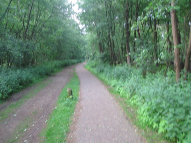 img_2620.jpg